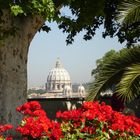 Der schönste Blick auf den Petersdom