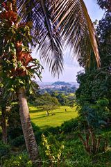 Der schönste Durchblick Kameruns