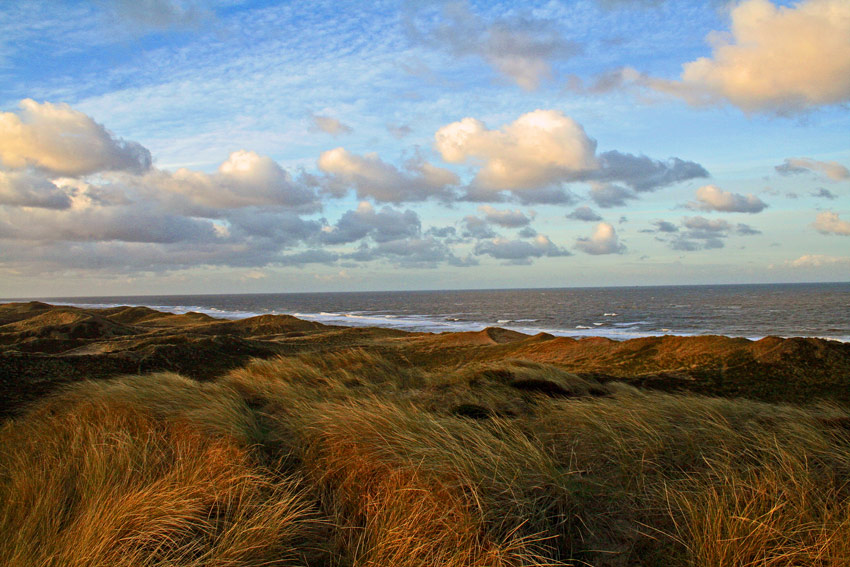 der schönste fleck auf der welt ist meine heimat sylt