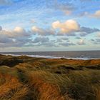 der schönste fleck auf der welt ist meine heimat sylt