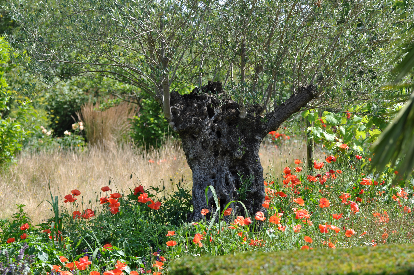 Der schönste Garten im Norden 