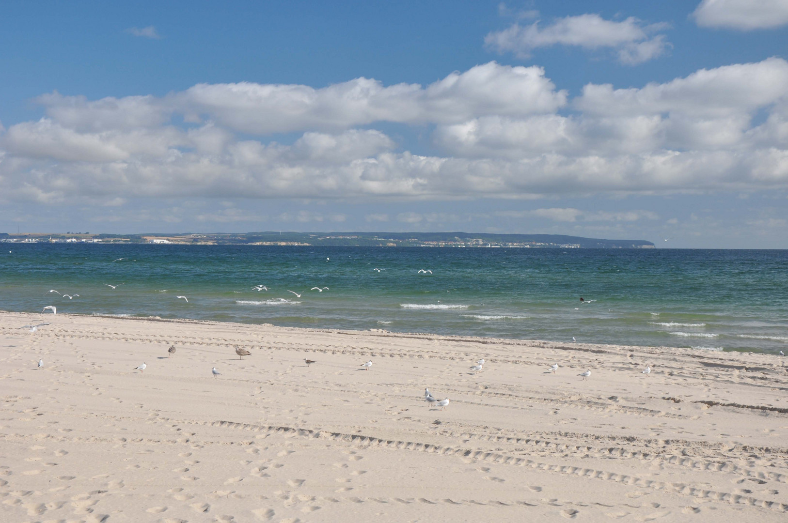 Der schönste Strand mit Meerblick und ein paar Seemöwen