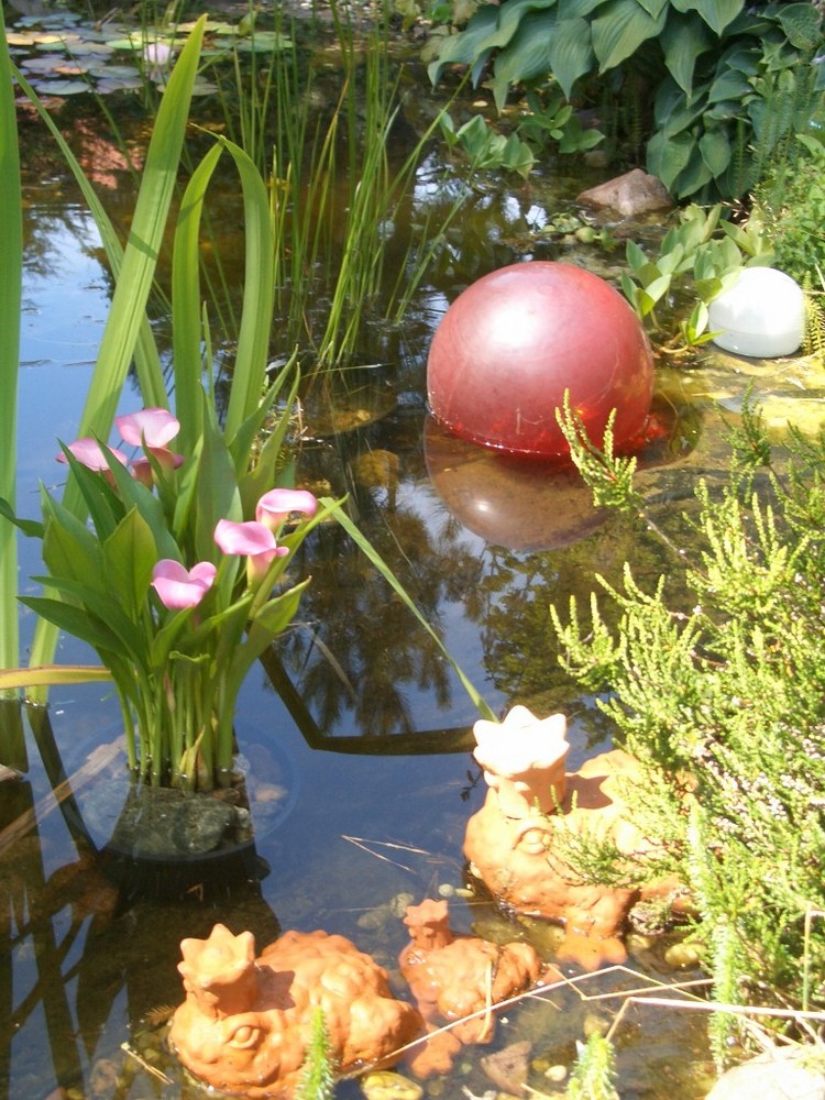 Der schönste Waldgarten den ich kenne!