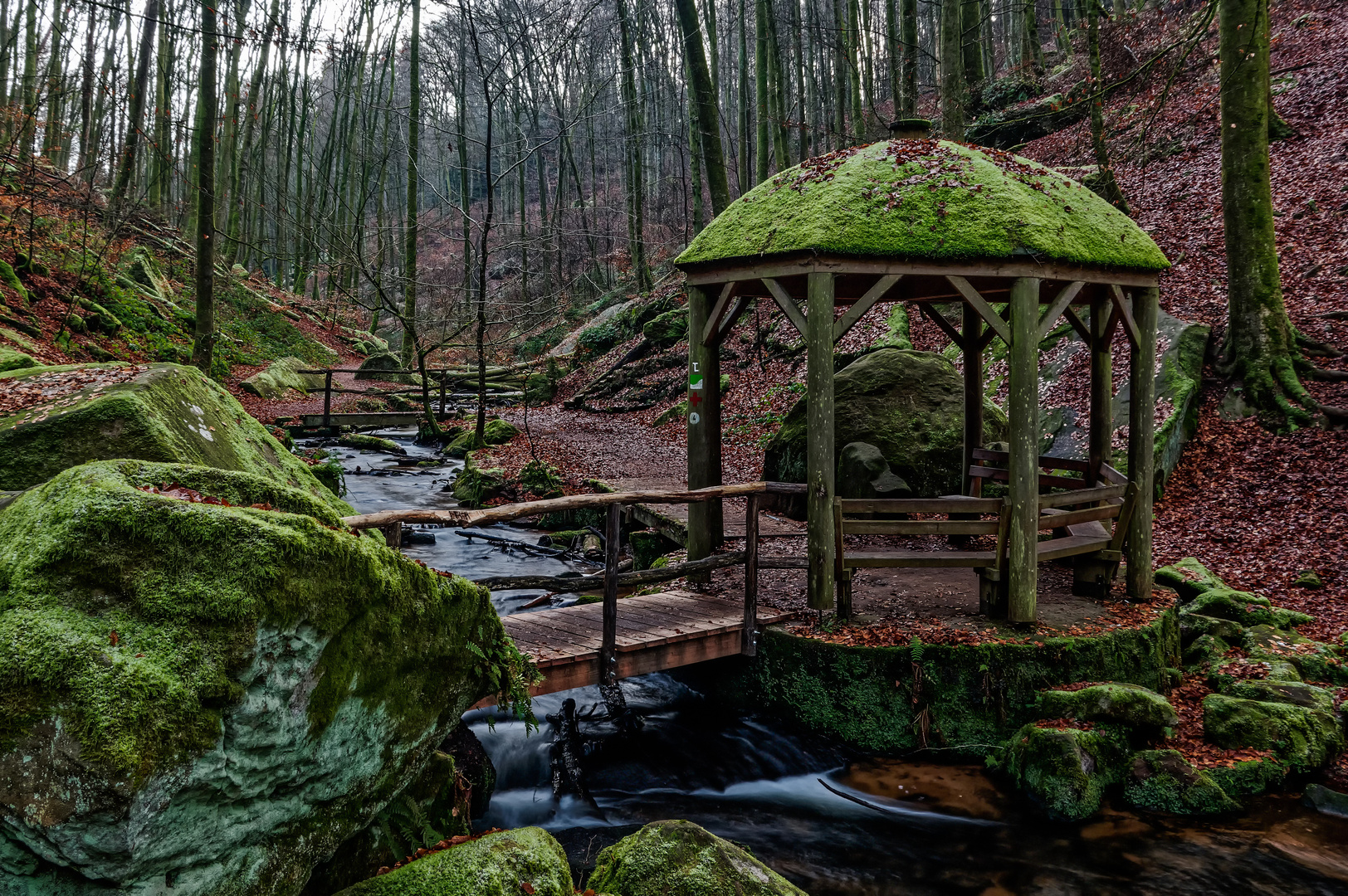 Der schönste Wanderkilometer im Pfälzer Wald Foto &amp; Bild | winter ...