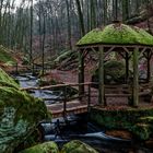 Der schönste Wanderkilometer im Pfälzer Wald