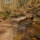 Der schönste Wanderkilometer in der Pfalz die 3., unterwegs in der Karlstalschlucht.