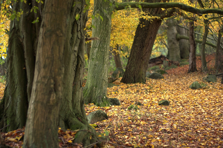 Der schönste Wanderweg