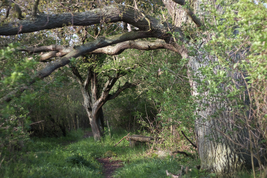 Der schönste Wanderweg