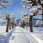 Der schönste Weg in Einsiedeln SZ