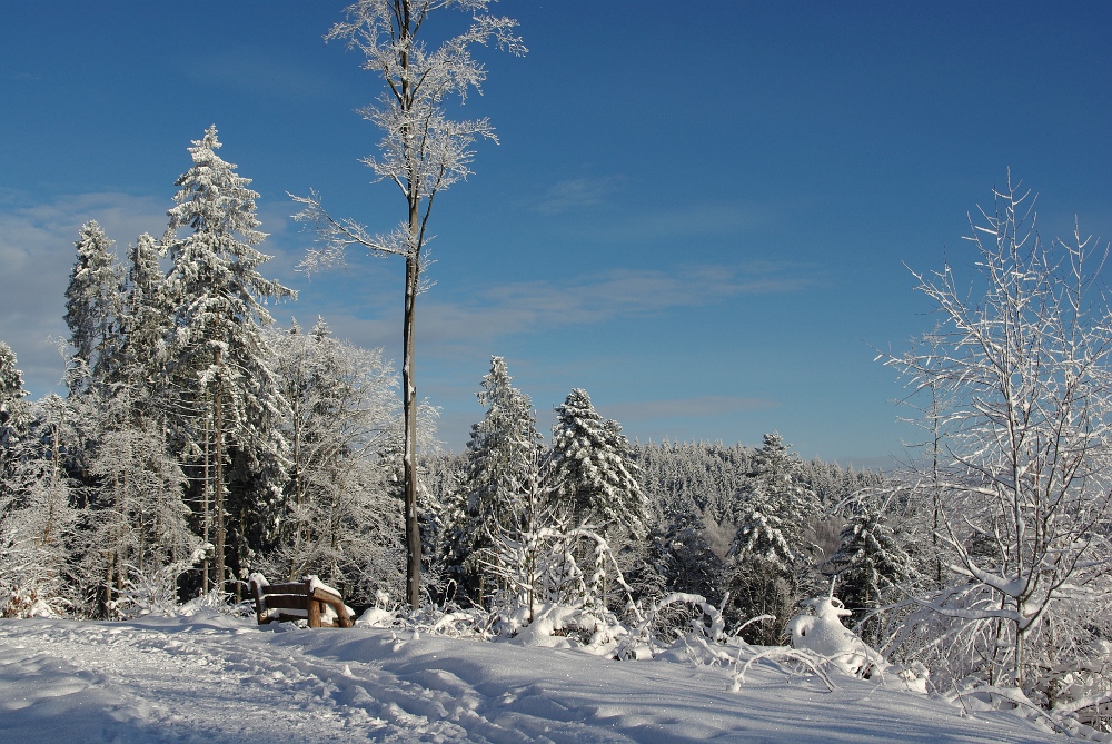 Der schönste Wintertag