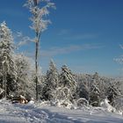 Der schönste Wintertag