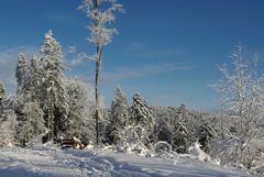 Der schönste Wintertag