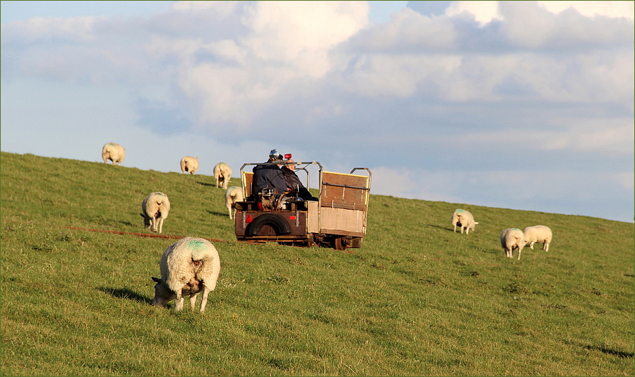 der "Schönwetter-Hallig-Express"...