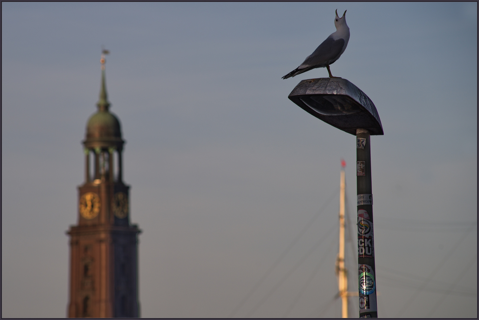 Der Schrei nach..