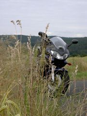 Der schüchterne Bandit...