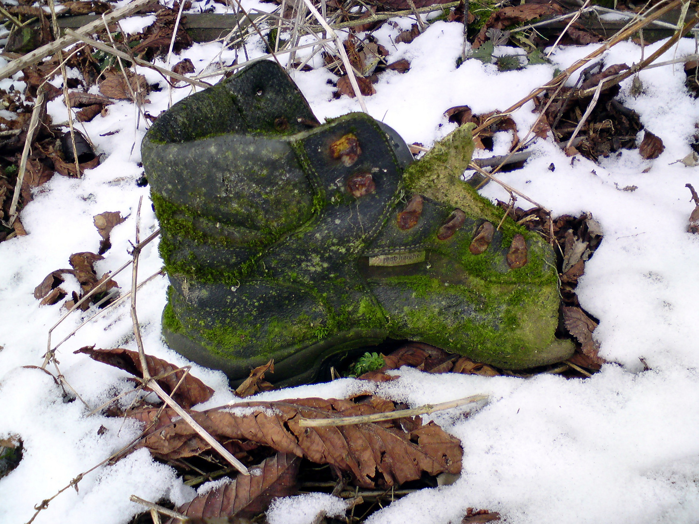 Der Schuh liegt sicher schon sehr laaang da :)