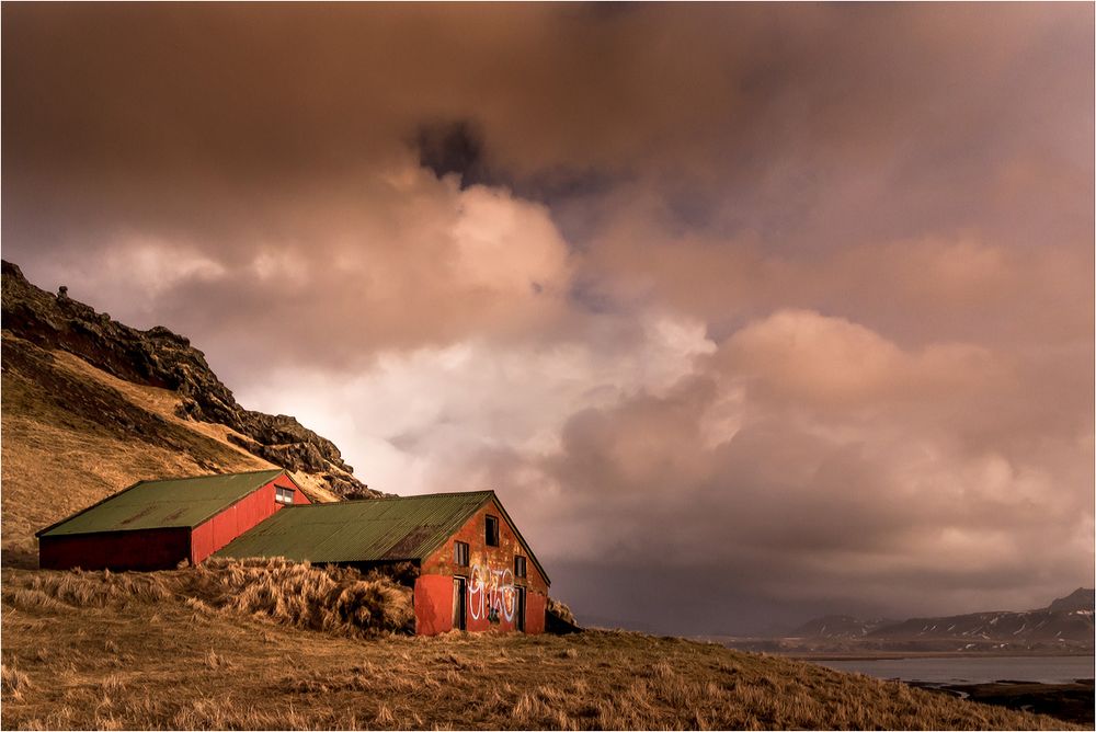 Der Schuppen bringt Farbe in die Landschaft...