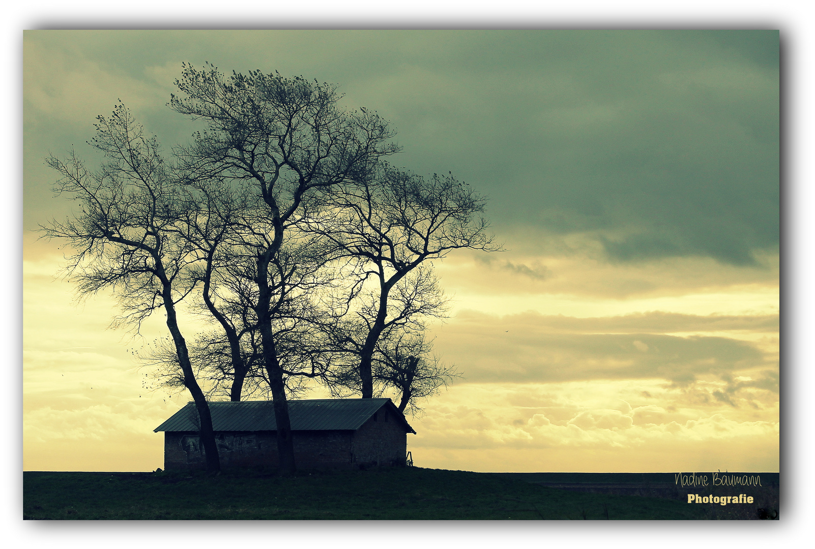 Der Schuppen im Nirgendwo