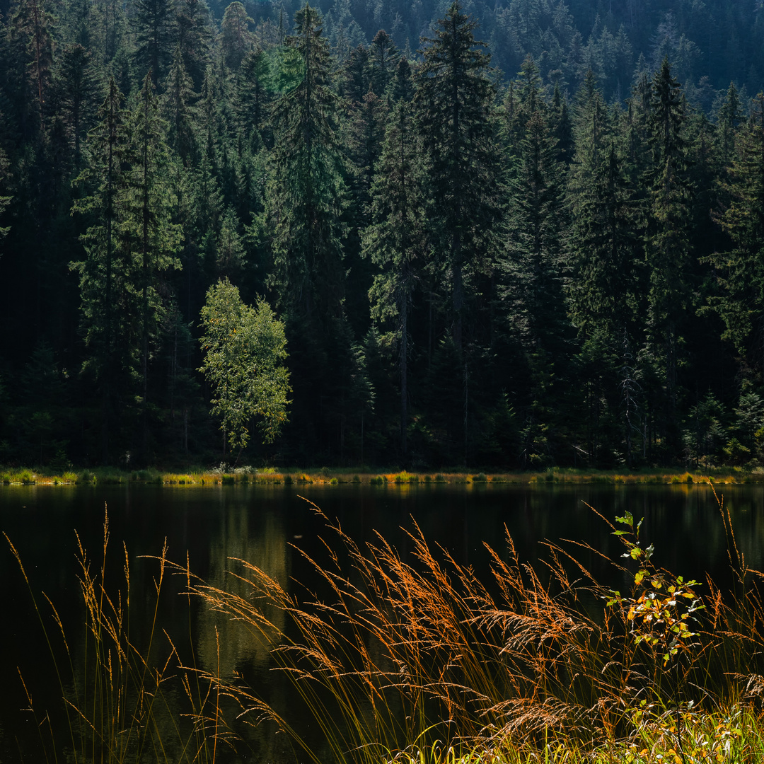 Der Schurmsee