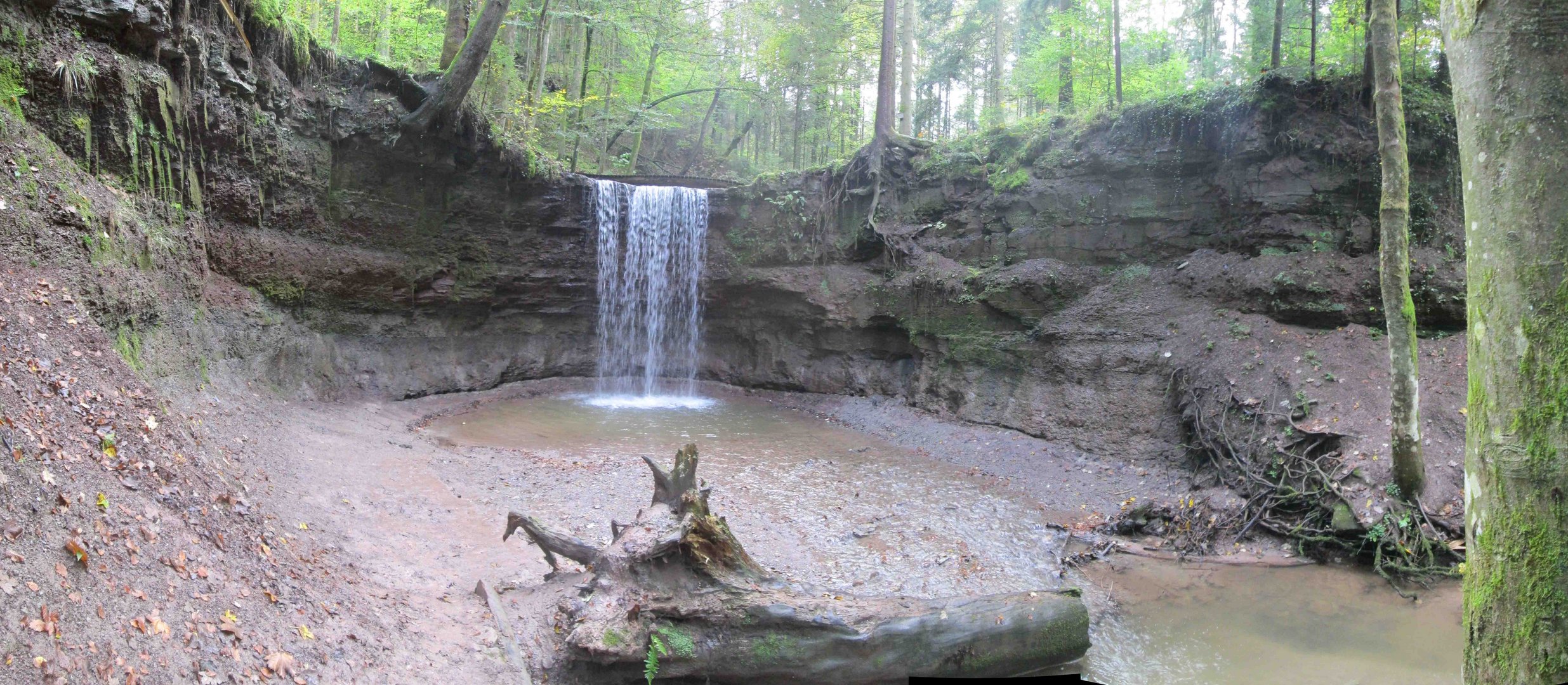 Der Schwäbische Wald