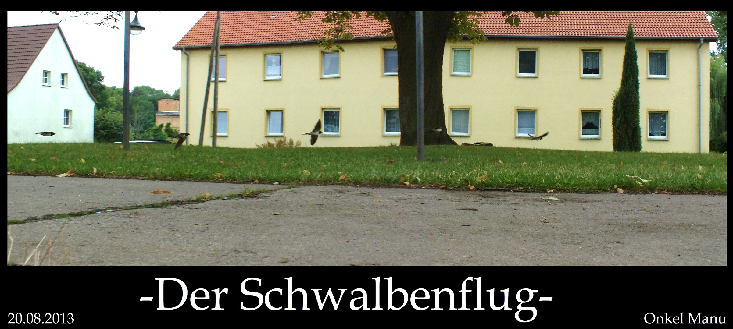 Der Schwalbenflug