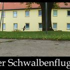 Der Schwalbenflug