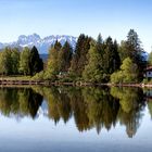 Der Schwaltenweiher bei Rückholz.....