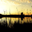 Der Schwaltenweiher im Ostallgäu