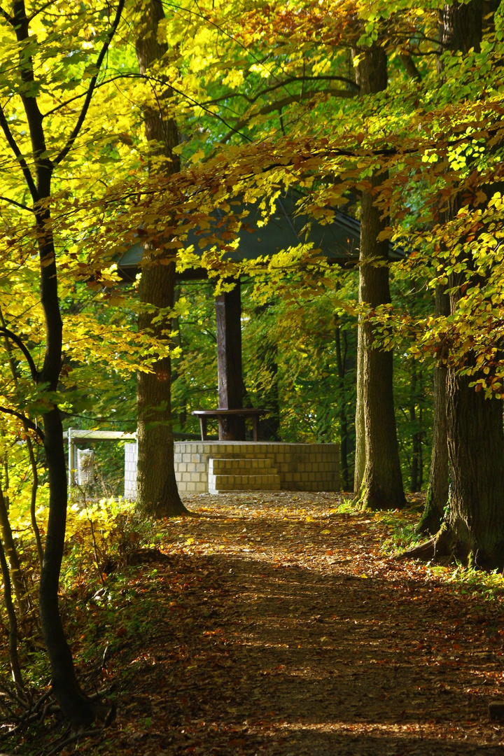 Der Schwammerl am Mariahilfberg