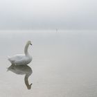 Der Schwan, Der Nebel und Der Border