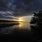 Der Schwan im Sonnenuntergang