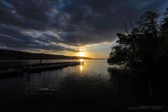 Der Schwan im Sonnenuntergang