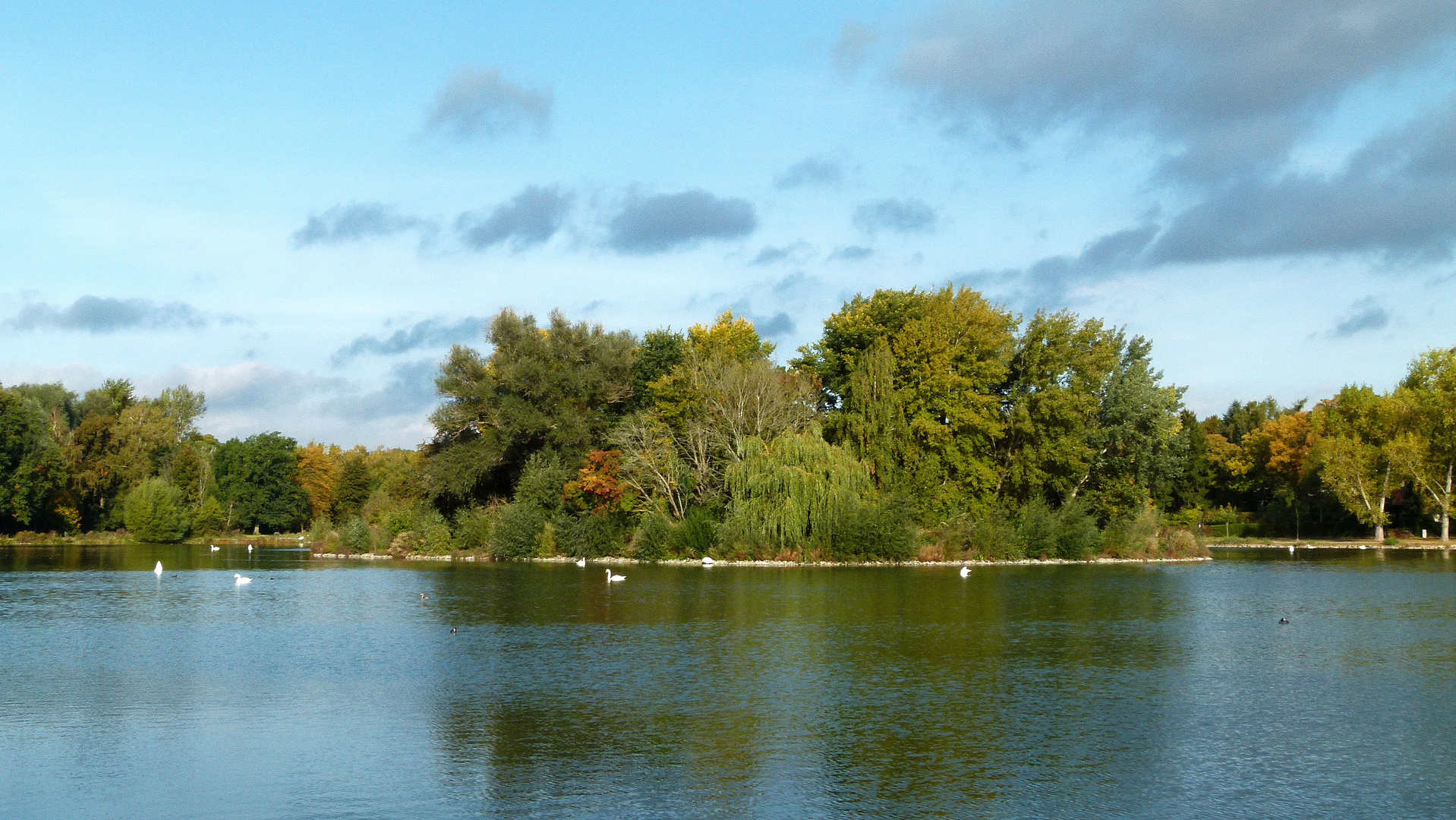 Der Schwanenteich im Herbst