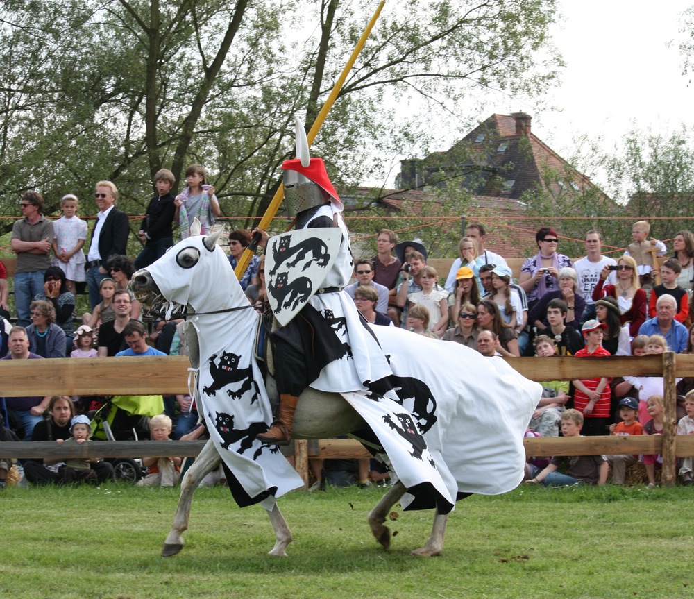 Der schwarz-weiße Ritter auf dem schwarz-weißen Pferd