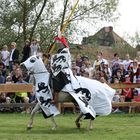 Der schwarz-weiße Ritter auf dem schwarz-weißen Pferd