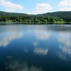 Der Schwarzastausee b. Scheibe Alsbach / Th .