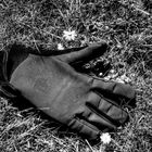 der schwarze Handschuh