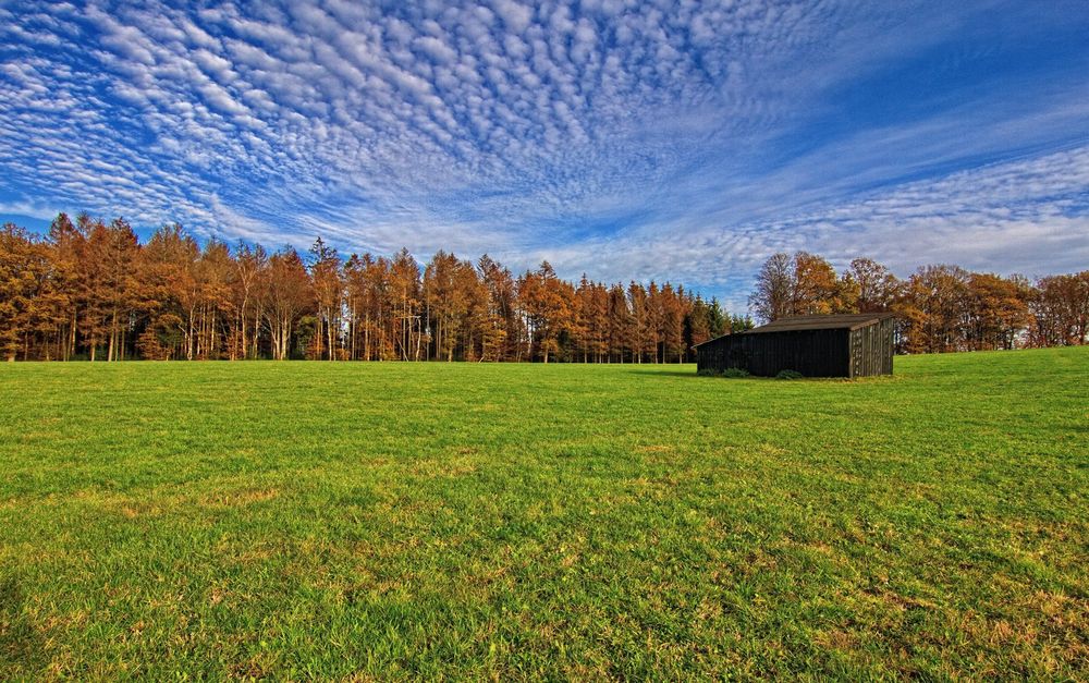 Der schwarze Schuppen