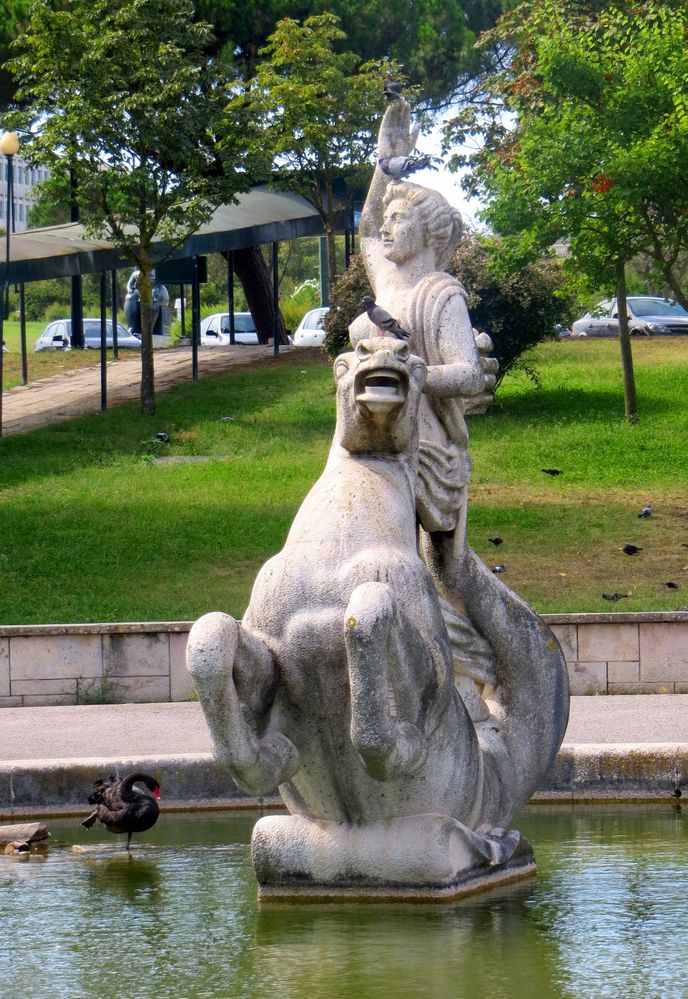 Der schwarze Schwan, die Tauben & die Reiterstatue ...