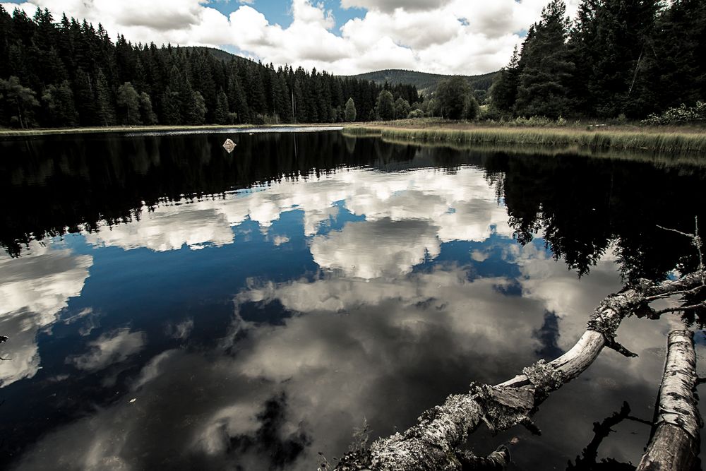 Der schwarze Schwarzwald