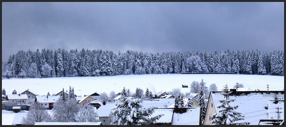 Der schwarze Wald hat weiße Flecken bekommen...   