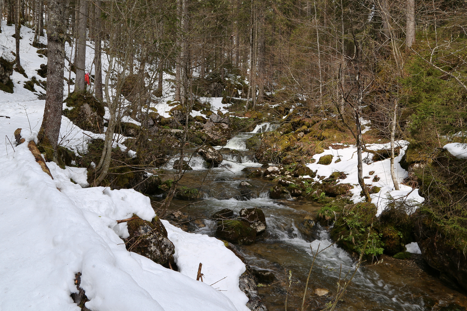 Der Schwarzenbach in Bayern (2017_04_25_EOS 6D_5492_ji)