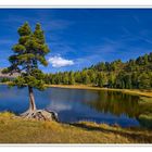 Der Schwarzsee im Turrachgebiet (Kärnten)