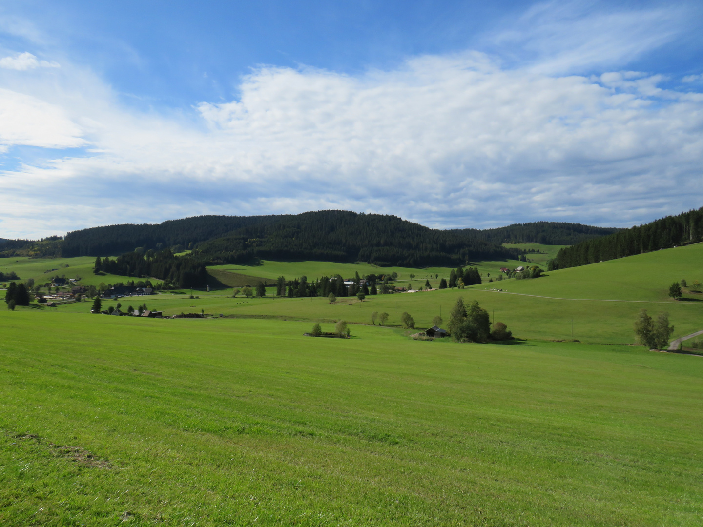 Der Schwarzwald