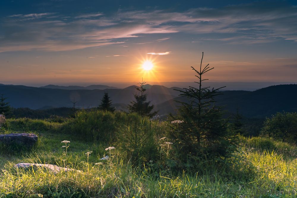 Der Schwarzwald