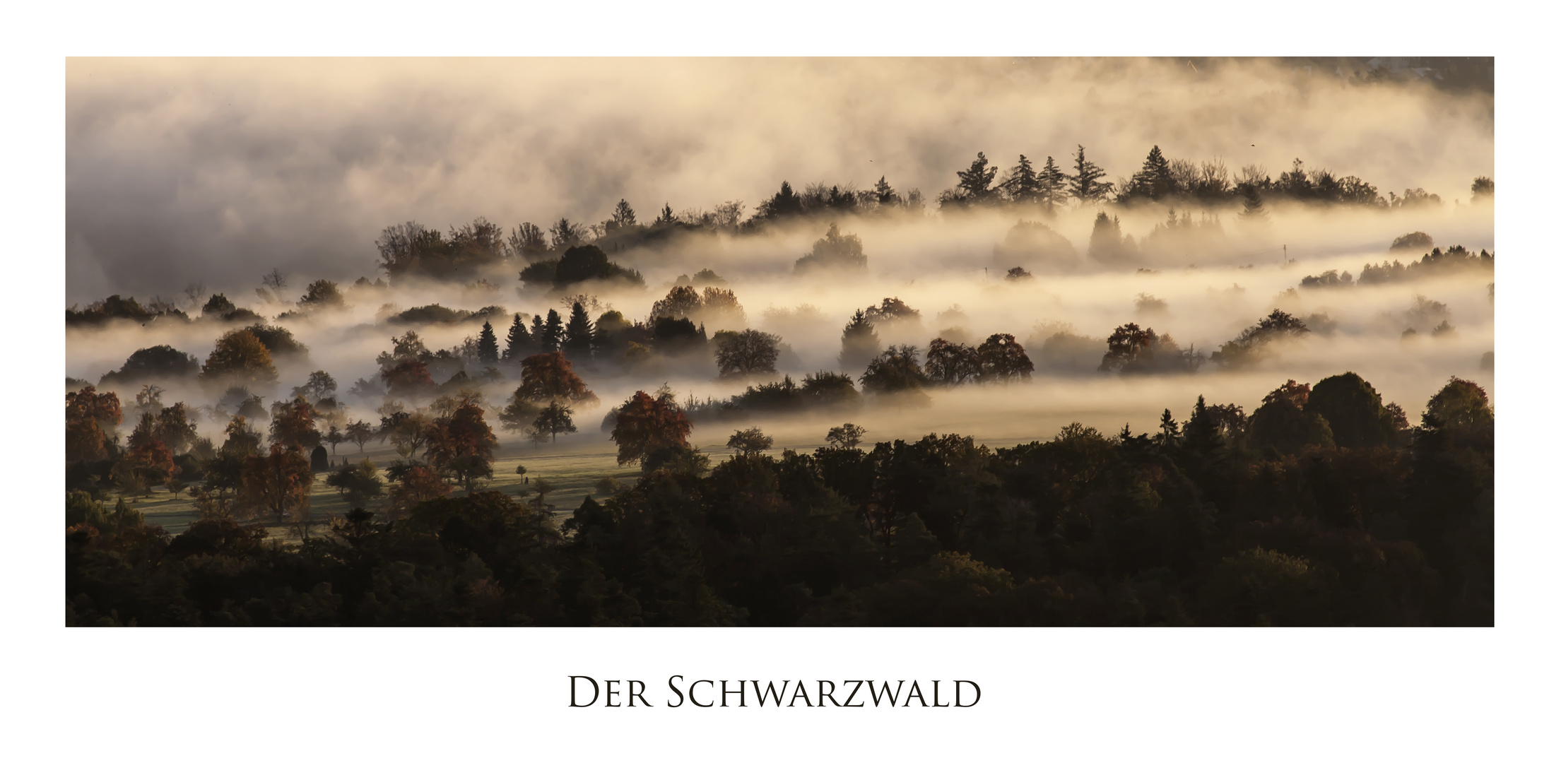 Der Schwarzwald