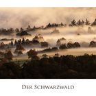 Der Schwarzwald