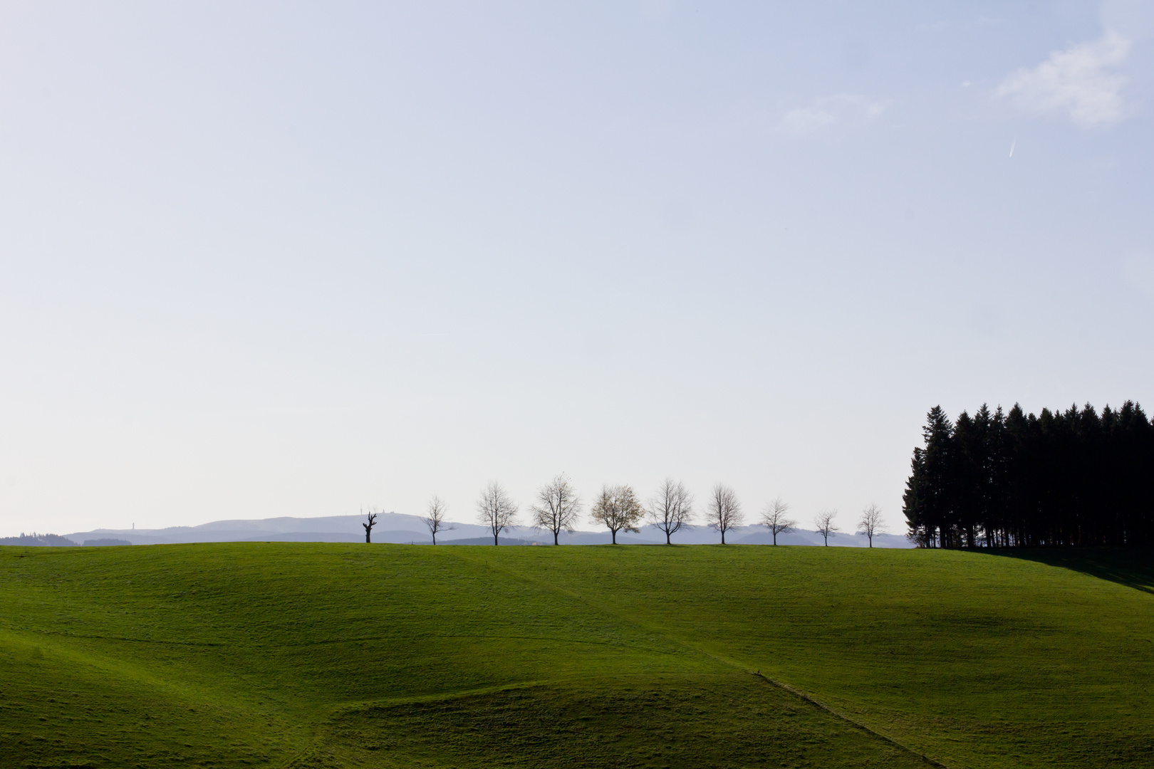 Der Schwarzwald