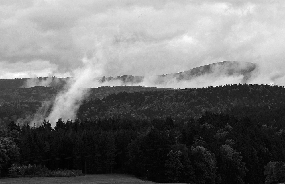 Der Schwarzwald brennt