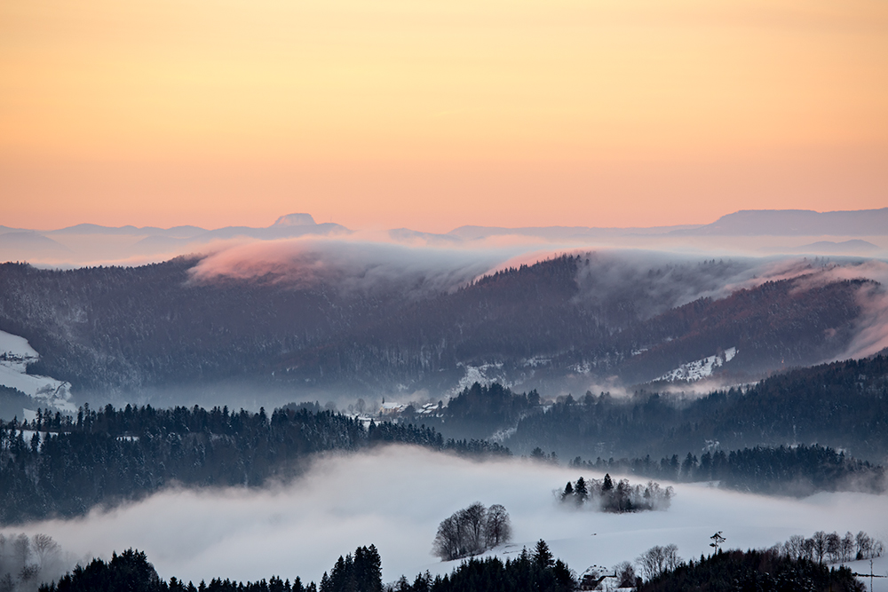 Der Schwarzwald